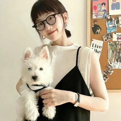 睡觉的笨蛋