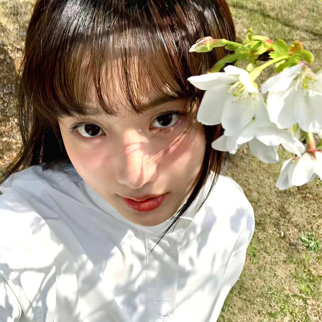 红酒炖香鸡2 香槟鸡